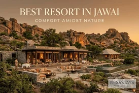 Plan a Jawai Safari with the Right Stay