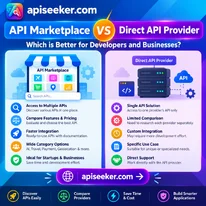 API Marketplace vs Direct API Provider