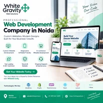 Web Development Company in Noida WhiteGravity