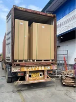 Home Shifting Services for Residents of Sirsa
