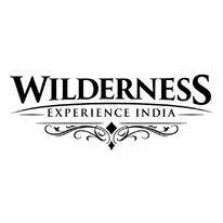 Wilderness Experience India - Wildlife Safari Tours