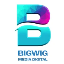 Influencer Marketing Agency in Delhi BigWig Media Digital