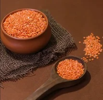 Premium Masoor Dal Supplier for Wholesale Buyers in Rajasthan A1 Food Product