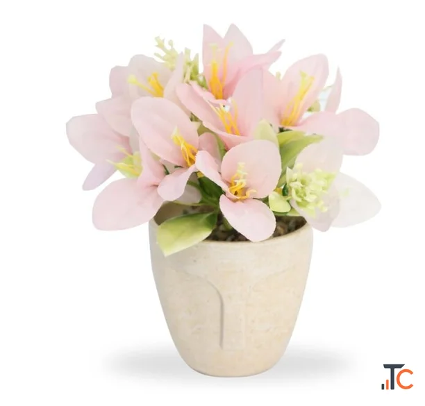 Shweta Enterprise - Artificial Plants Grass