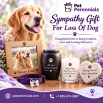 Sympathy Gift For Loss Of Dog