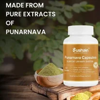 Punarnava Capsules for UTI Support Ayurvedic Urinary Care