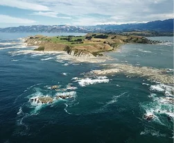Explore Kaikoura Whale Watching New Zealand Cheeky Kea Travel