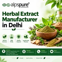 Herbal Extract Manufacturer in Delhi