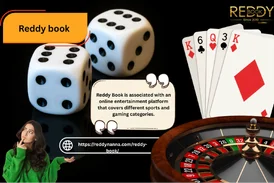 Reddy Book and the Growing World of Online Sports Entertainment